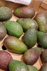 Aguacates