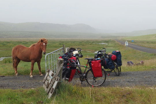Islandia - rowery i kuc islandzki