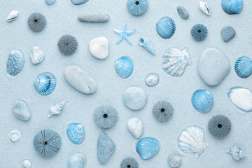 Sea shells and star fish