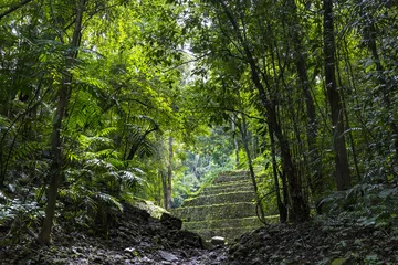 Photo sur Plexiglas Mexique Mexique. Le parc archéologique de Yaxchilan - entrée de la ville antique cachée dans la jungle lacandone
