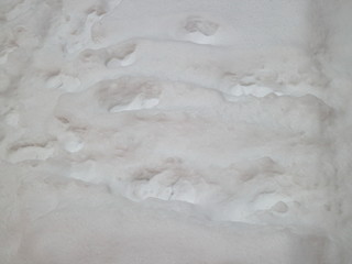 traces of people in the snow