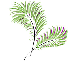 Colorful hand drawn abstract silhouette of green palms branches on white background, isolated colorful nature illustration painted by pen and paper pencil chalk, high quality