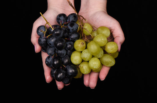 Female hands with green and black grapes.