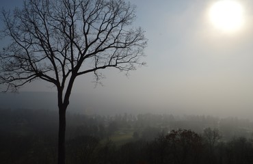 Fototapeta na wymiar Weather Icon of a Misty Fog Morning With Sun Peeking Through a Rocky Terrain and Tree Landscape