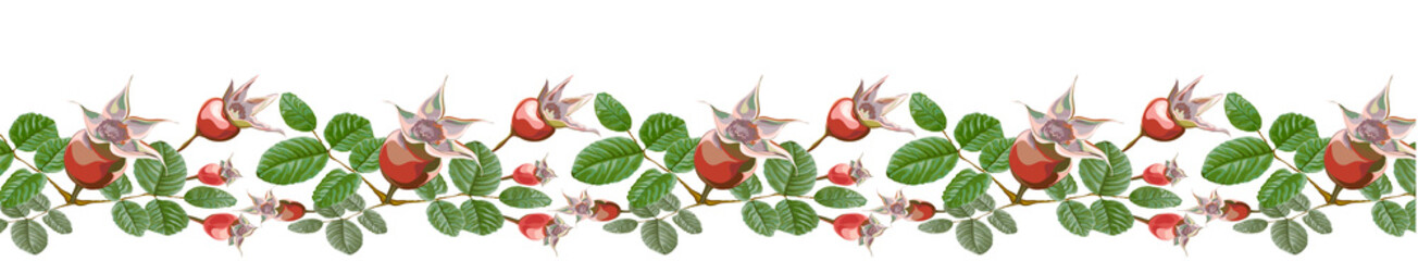 dogrose horisontal banner straight