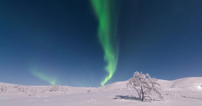 Dancing Aurora Borealis during winter season with moonlight (looks like daylight)