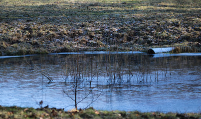 Frozen pond during winter season in forest