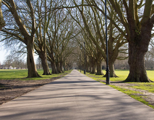 Tree lined footpath between Midsummer common and Jesus Green Cambridge, UK