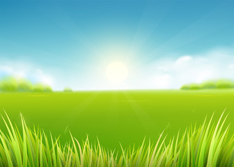 Obraz na płótnie Canvas Summer meadow field. Nature background with sun, sunny rays, grass landscape