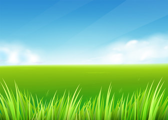 Fototapeta na wymiar Meadow field. Summer or spring nature background with green grass landscape