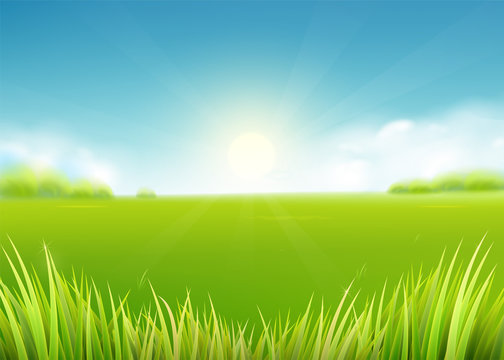 Summer meadow field. Nature background with sun, sunny rays, grass landscape