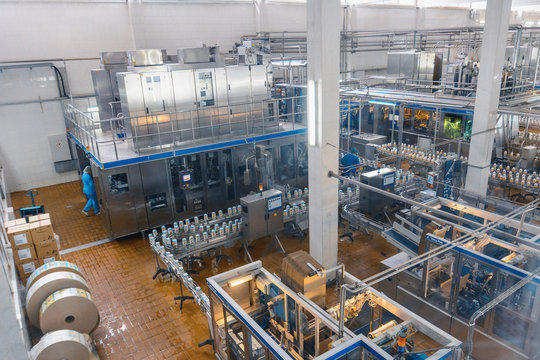 milk and cheese production plant