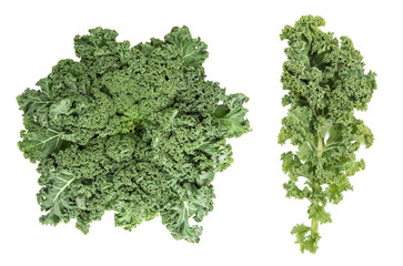 Kale cabbage Green vegetable leaf Healthy eating Super foods