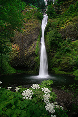 Horsetail falls and flowers in early  summer