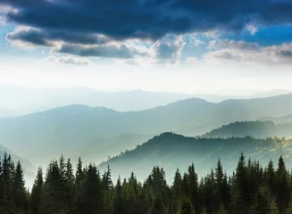Sierkussen Majestic landscape of summer mountains. A view of the misty slopes of the mountains in the distance. Morning misty coniferous forest hills in fog and rays of sunlight. Travel background. © vovik_mar