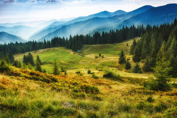 Majestic landscape of summer mountains. A view of the misty slopes of the mountains in the distance. Morning misty coniferous forest hills in fog and rays of sunlight. Travel background.