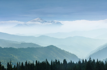 Majestic landscape of foggy mountains. A view of the misty tops of the mountains in the distance. Morning misty coniferous forest hills in fog and rays of sunlight. Travel background.