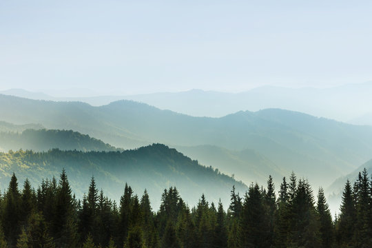 Fototapeta Majestic landscape of summer mountains. A view of the misty slopes of the mountains in the distance. Morning misty coniferous forest hills in fog and rays of sunlight. Travel background.