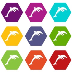 Dolphin icon set color hexahedron
