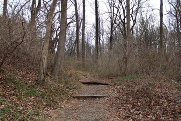 Watchung Reservation Hiking