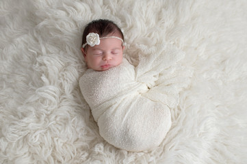 Swaddled, Sleeping Newborn Baby Girl