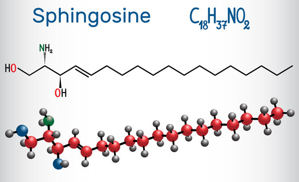 Sphingosine molecule .  It is an amino alcohol , forms a primary part of sphingolipids. Structural chemical formula and molecule model