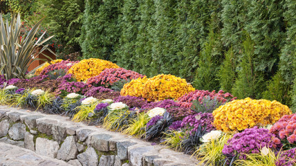 Formal Fall Garden Border