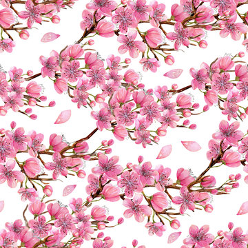 Watercolor spring blooming cherry tree branches seamless pattern, hand painted on a white background