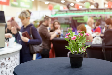 Closeup of a flower on a table in a cafe in a shopping center on a background of people standing at tables.