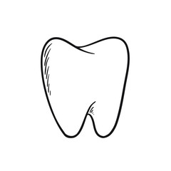 Vector line art tooth isolated on white background.