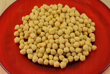 Canned garbanzo beans or chickpeas rinsed and drained and poured out on red plate as preparation to be used as ingredient in salad or meal