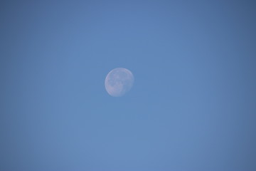 Day Moon