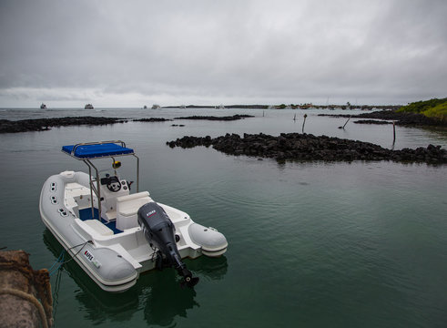 Zodiac Panga in Ocean