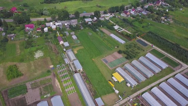 Aerial agricultural view of lettuce production field and greenhouse. Clip. Greenhouses field. Flying over the greenhouses. Greenhouses from the air.