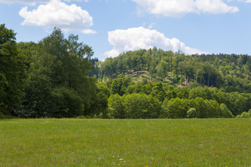 field of green grass and blue sky in summer day