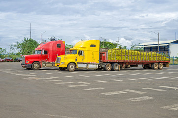 Fototapeta na wymiar Lorries transporting fruits in Nicaragua