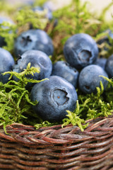 Blueberries in wicker basket.