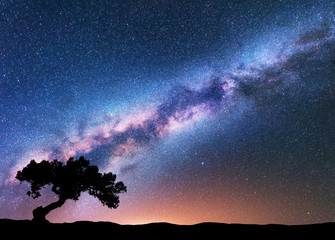 Milky Way with alone old crooked tree on the hill. Colorful night landscape with bright milky way,...