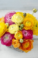 Bouquet of colorful ranunculus flowers.
