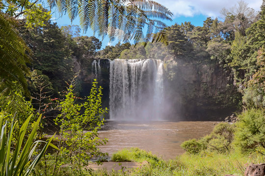 Ferns And Waterfall At Kerikeri New Zealand Rainbow Falls 