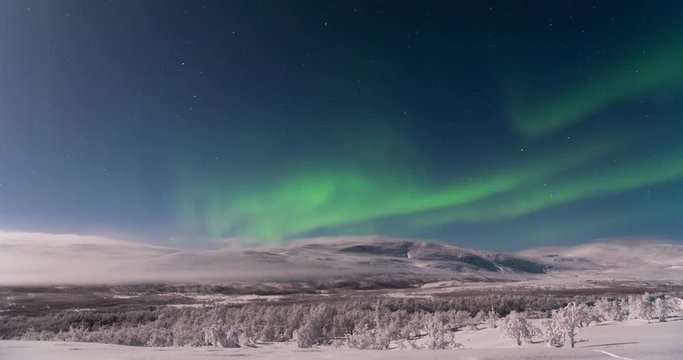 Timelapse of Aurora Borealis dancing over arctic moutain and small birch trees in snow