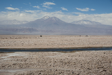 Salar de Atacama, the largest salt flat in Chile (Desert of the Atacama, Chile) – South America
