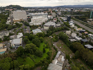Auckland New Zealand And Domain Park 
