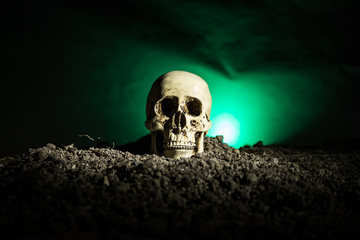 frontview of human skull open mouth on dark toned foggy background. Horror concept.