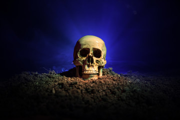 frontview of human skull open mouth on dark toned foggy background. Horror concept.