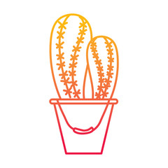 cactus in bucket plant decorative natural vector illustration degraded line color design