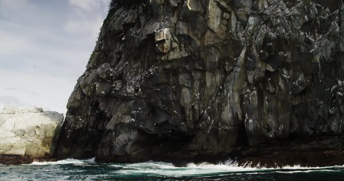 Birds flock near Seward cliffs, Alaska
