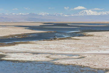 Salar de Atacama, the largest salt flat in Chile (Desert of the Atacama, Chile) – South America