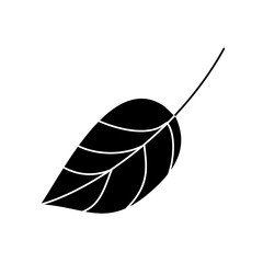 leaf foliage botany frond natural icon vector illustration black and white design