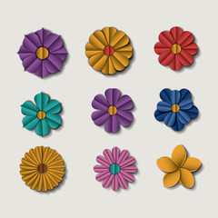 cute flowers set icons vector illustration design